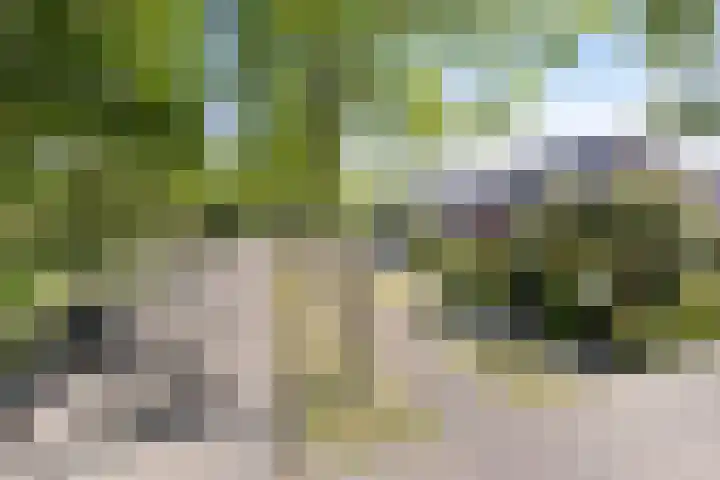 Gemertstraat 26 Oss thumbnail 42