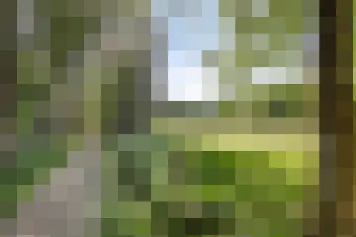 Gemertstraat 26 Oss thumbnail 44