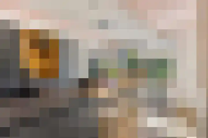 Gemertstraat 26 Oss thumbnail 9