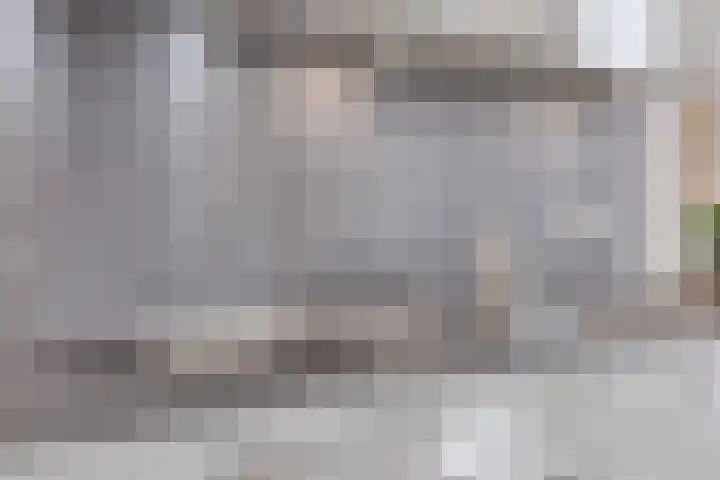 Gemini 50 Heeze thumbnail 19