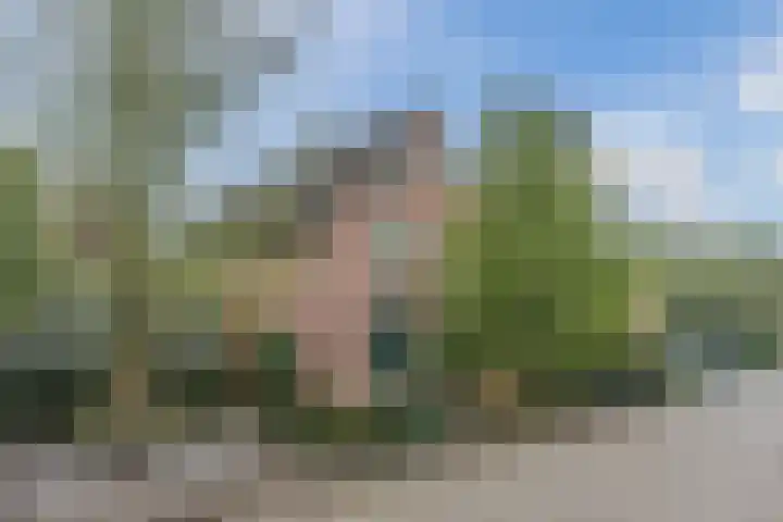 Gemini 50 Heeze foto 2