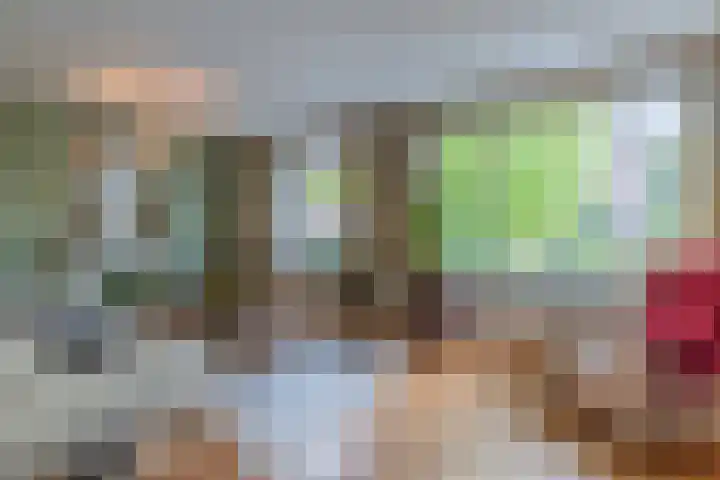 Gemini 50 Heeze thumbnail 20