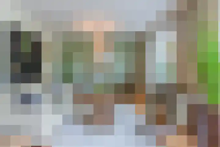 Gemini 50 Heeze thumbnail 21