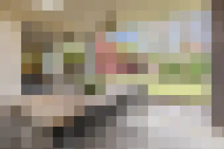 Gemini 50 Heeze thumbnail 28