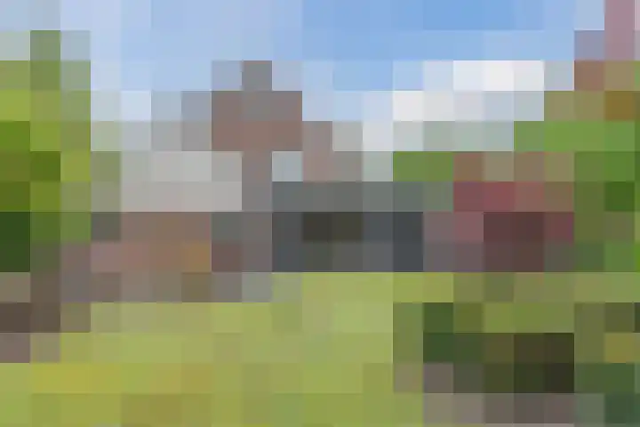 Gemini 50 Heeze thumbnail 29