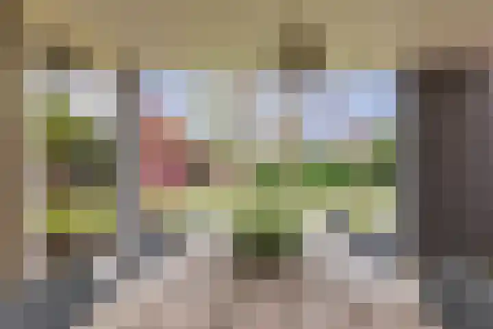 Gemini 50 Heeze foto 3