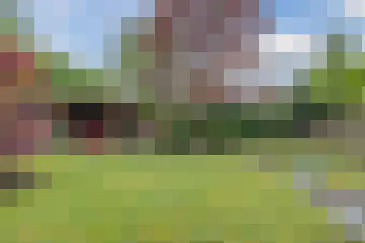 Gemini 50 Heeze thumbnail 30