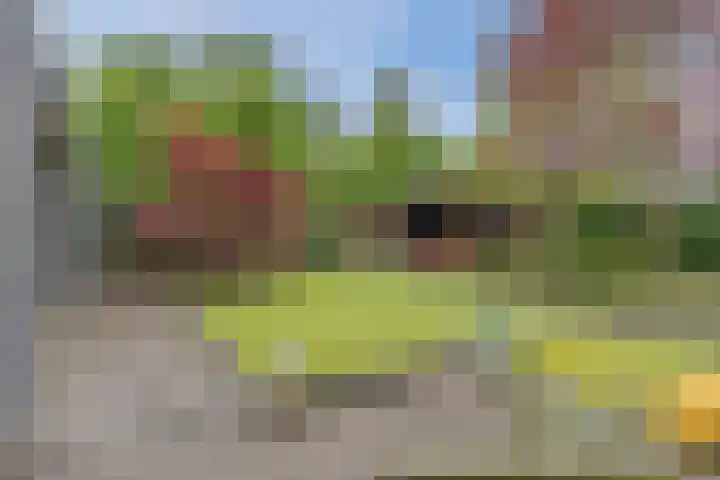 Gemini 50 Heeze thumbnail 32