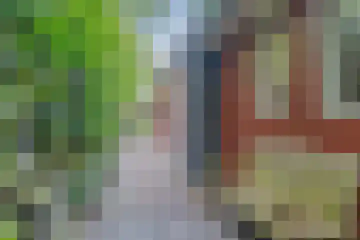 Gemini 50 Heeze thumbnail 35