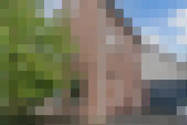 Gemini 50 Heeze thumbnail 36