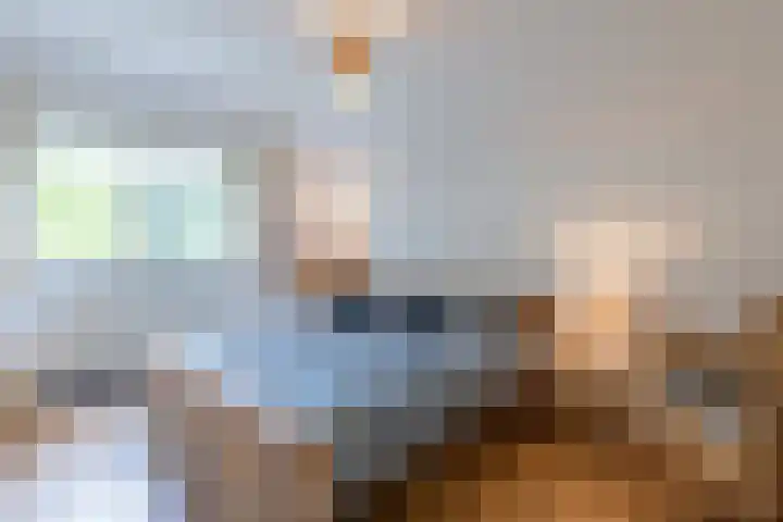 Gemini 50 Heeze thumbnail 42