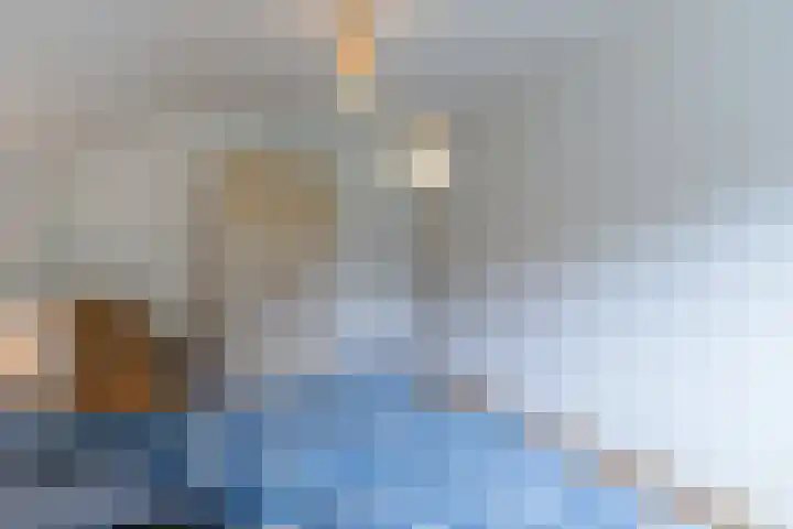 Gemini 50 Heeze thumbnail 43