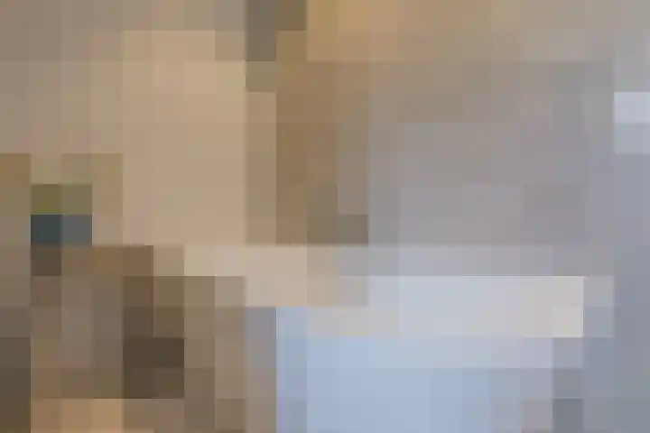 Gemini 50 Heeze thumbnail 47