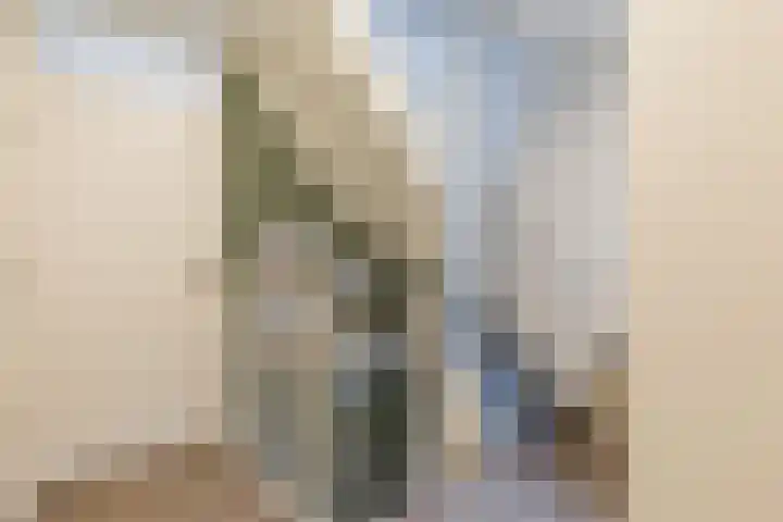 Gemini 50 Heeze thumbnail 50