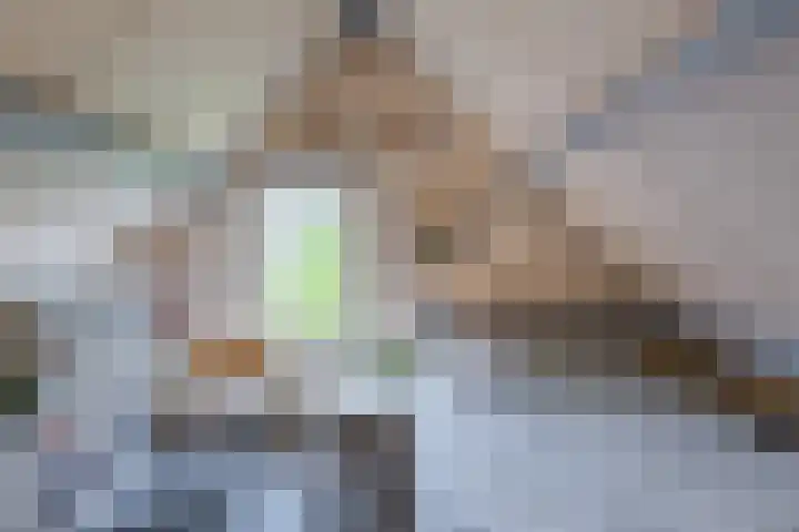 Gemini 50 Heeze thumbnail 52