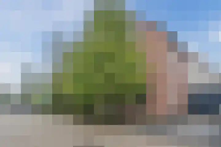 Gemini 50 Heeze thumbnail 58