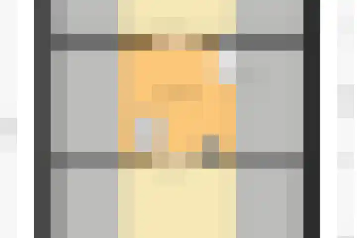 Gemini 50 Heeze thumbnail 61