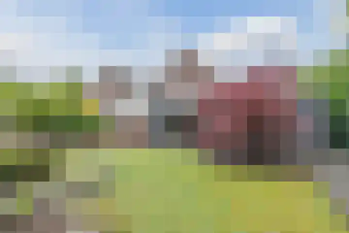 Gemini 50 Heeze thumbnail 63