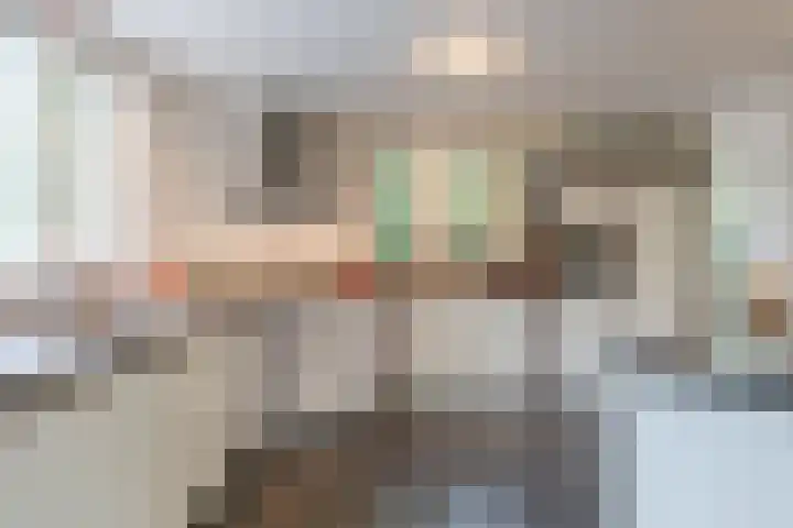 Gemini 50 Heeze thumbnail 9