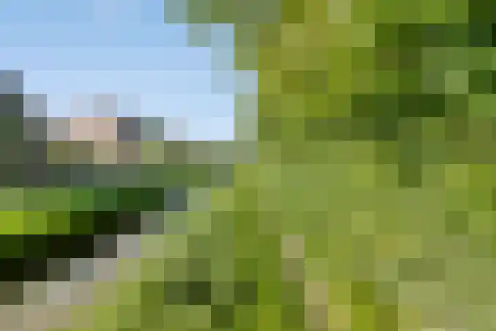 Geministraat 26 Dirkshorn thumbnail 31