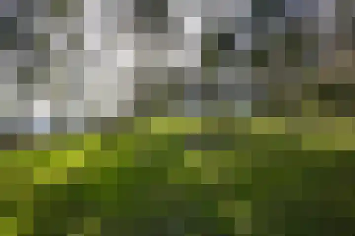 Gemmenicherweg 65 Vaals thumbnail 46