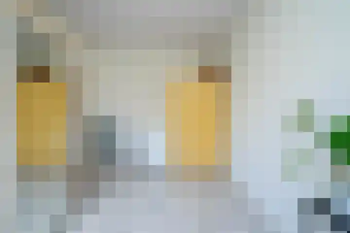 Gender 32 Deurne thumbnail 17