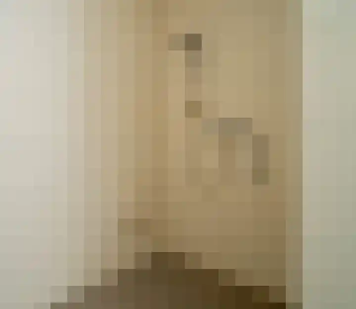 Gender 32 Deurne thumbnail 20