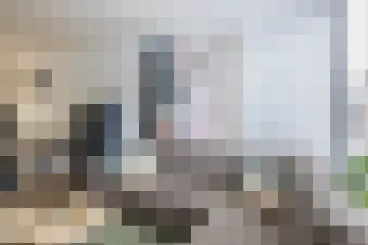 Genderdreef 14 Steensel thumbnail 10