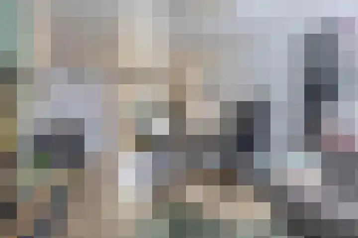 Genderdreef 14 Steensel thumbnail 11