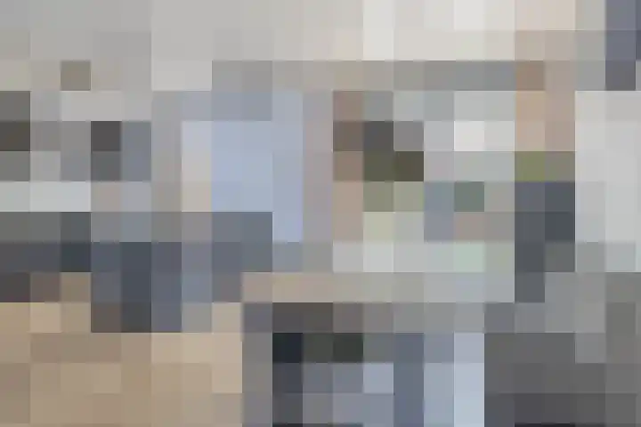 Genderdreef 14 Steensel thumbnail 12