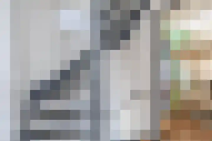 Genderdreef 14 Steensel thumbnail 17