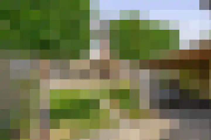 Genderdreef 14 Steensel thumbnail 4