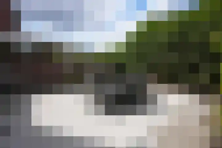 Gendorp 6 Beek thumbnail 27