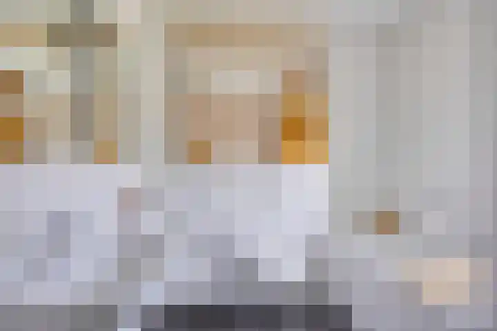 Geneesherenhof 15 Oss thumbnail 23