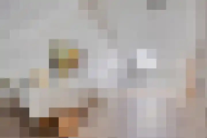 Geneesherenhof 15 Oss thumbnail 30