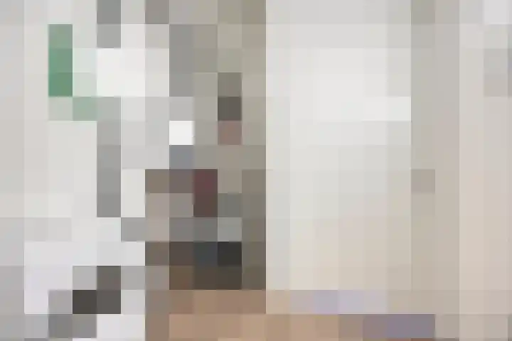 Geneesherenhof 15 Oss thumbnail 32