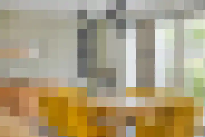 Geneesherenhof 15 Oss thumbnail 7