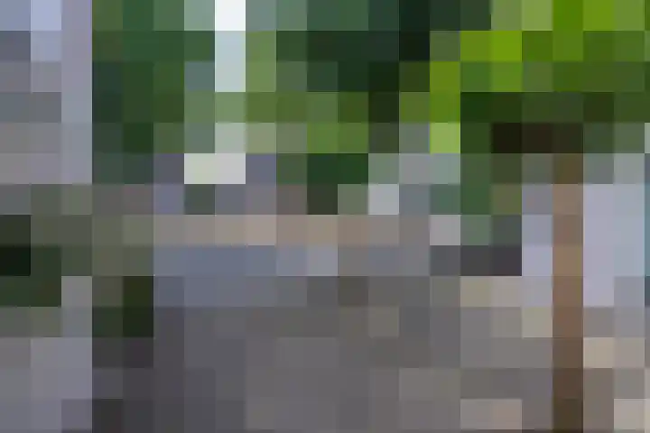 Genemuidenstraat 11 Tilburg thumbnail 10