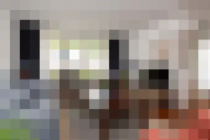 Genemuidenstraat 11 Tilburg thumbnail 16