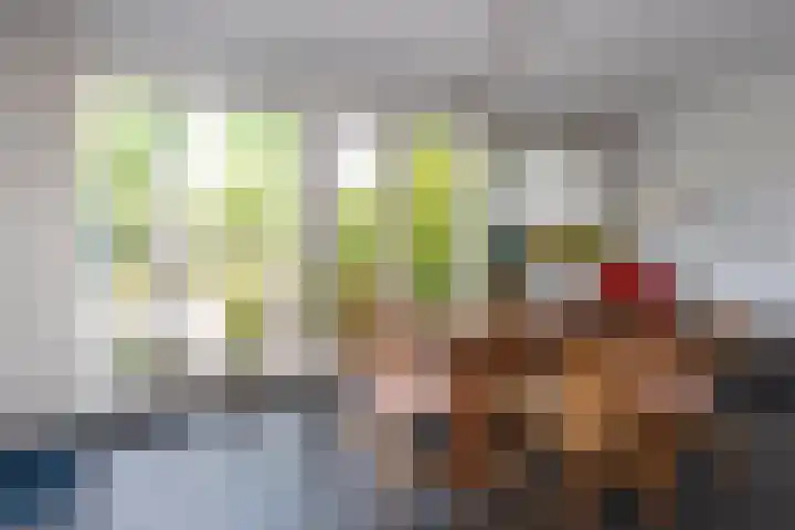 Genemuidenstraat 11 Tilburg thumbnail 26
