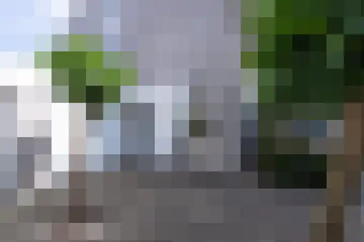 Genemuidenstraat 11 Tilburg thumbnail 9