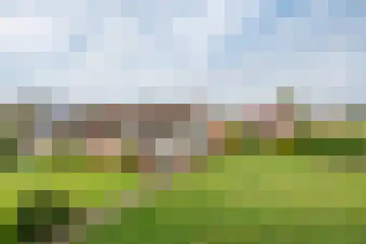 Geneneind 8 Bakel
