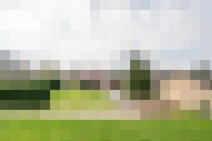 Geneneind 8 Bakel thumbnail 10