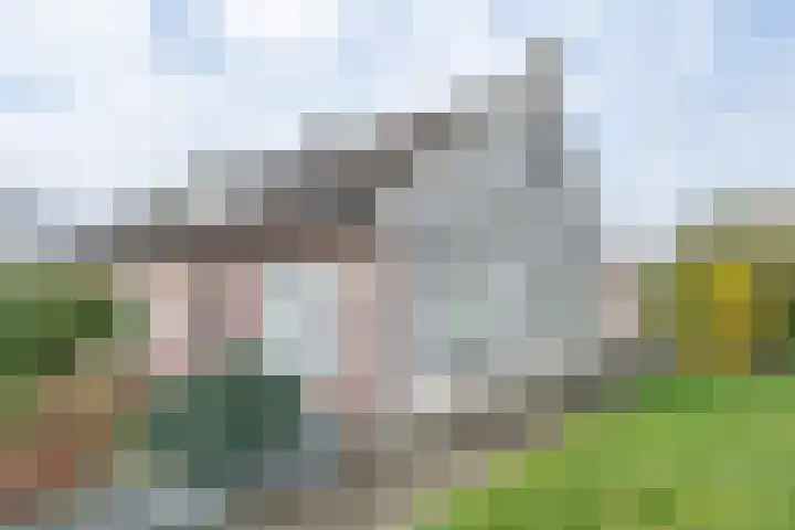 Geneneind 8 Bakel thumbnail 11