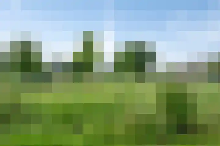 Geneneind 8 Bakel thumbnail 17