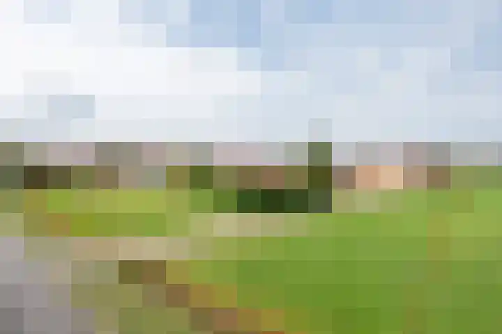 Geneneind 8 Bakel foto 2