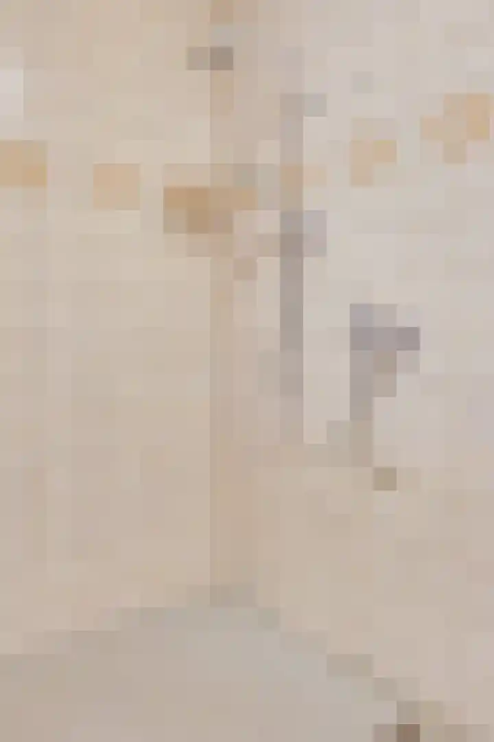 Geneneind 8 Bakel thumbnail 25