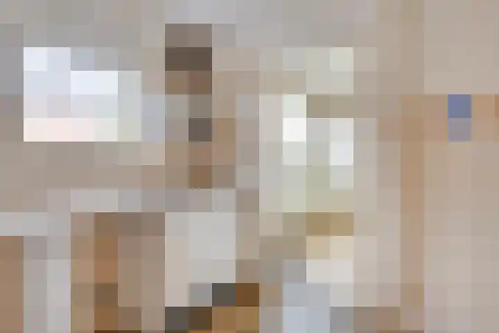 Geneneind 8 Bakel thumbnail 26