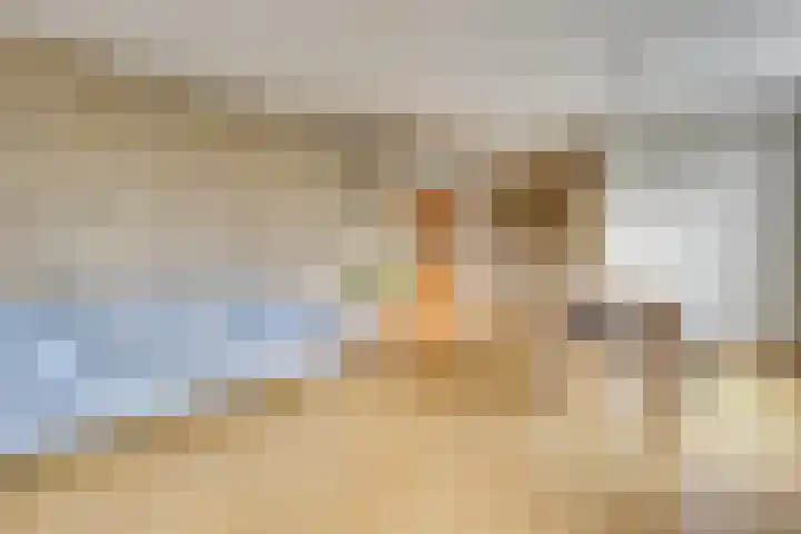 Geneneind 8 Bakel foto 3