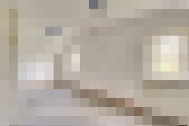 Geneneind 8 Bakel thumbnail 30